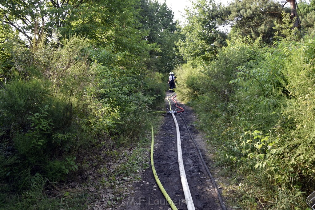 Waldbrand Koeln Hoehenhaus Hoehenfelder Mauspfad P054.JPG - Miklos Laubert